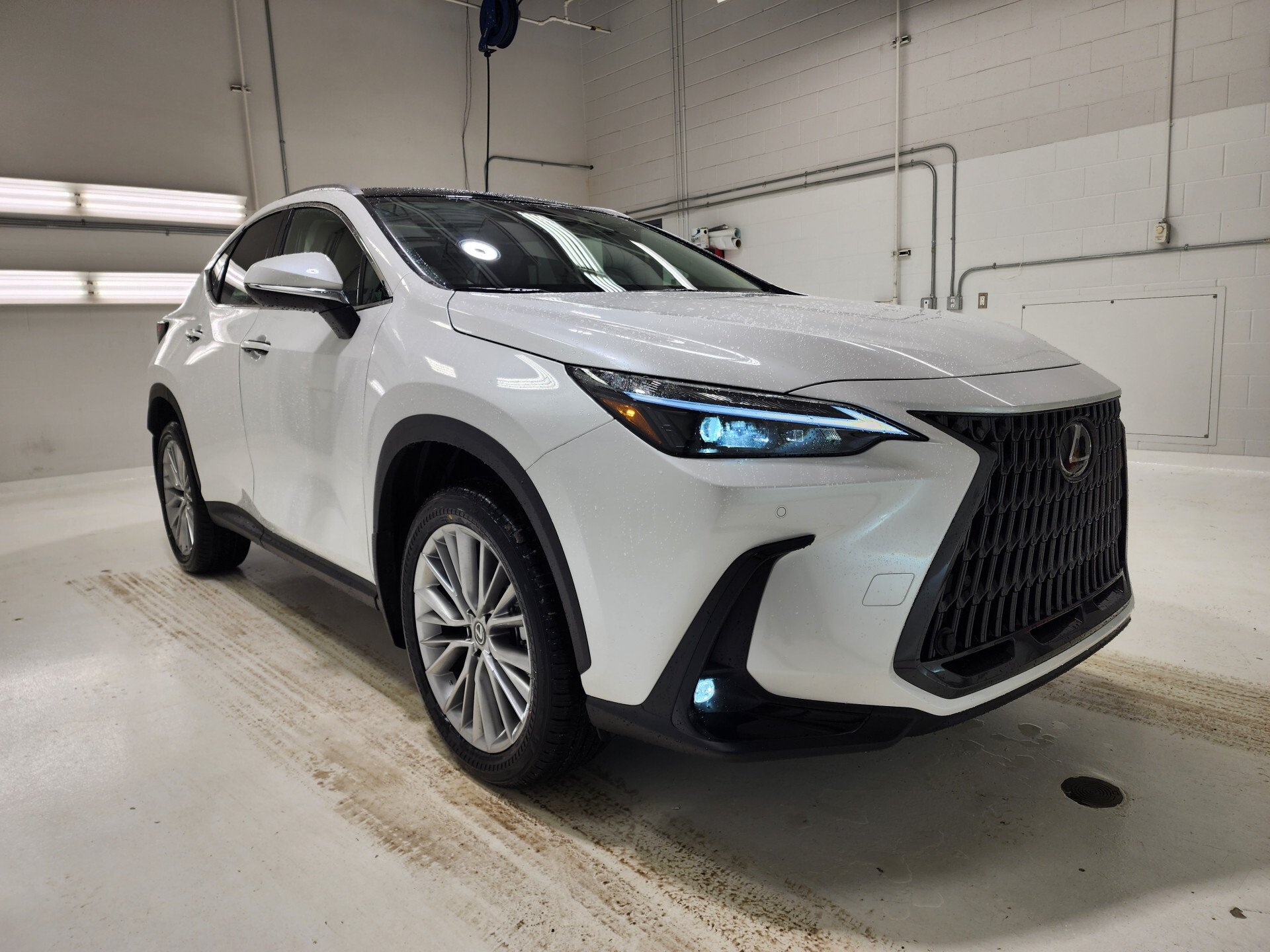 Lexus NX 2024