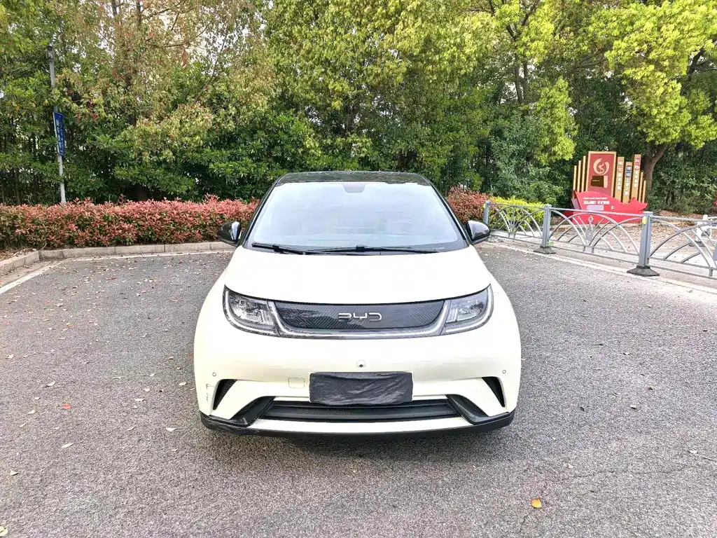 BYD Dolphin 2024