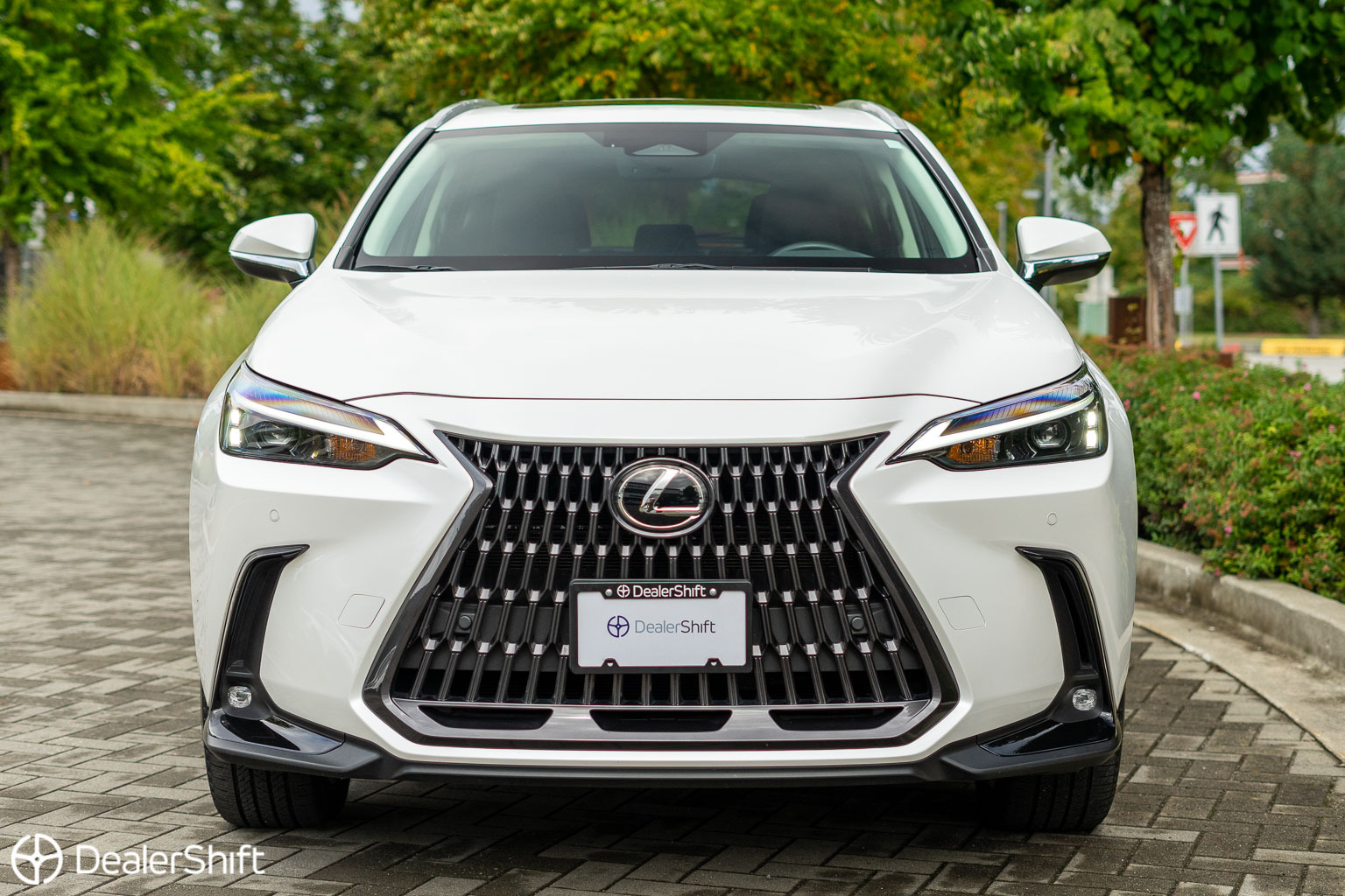 Lexus NX 2022