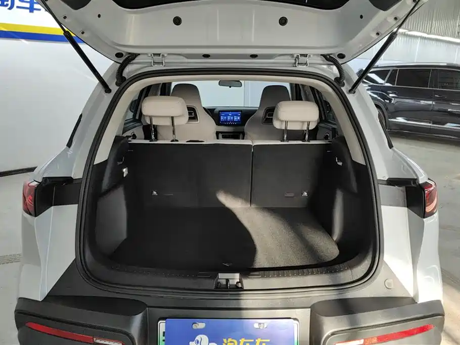 BYD Yuan Up 2024