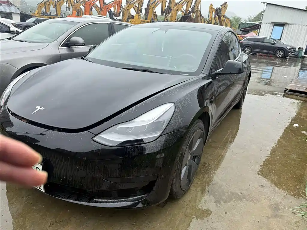 Tesla Model 3 2021