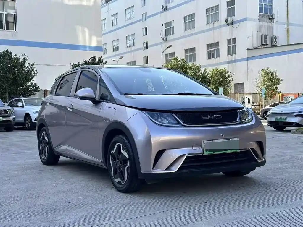 BYD Dolphin 2021