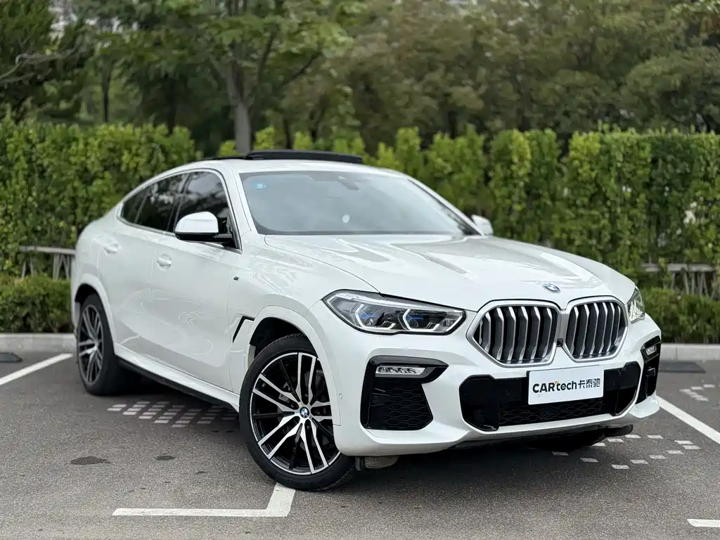 BMW X6 2020