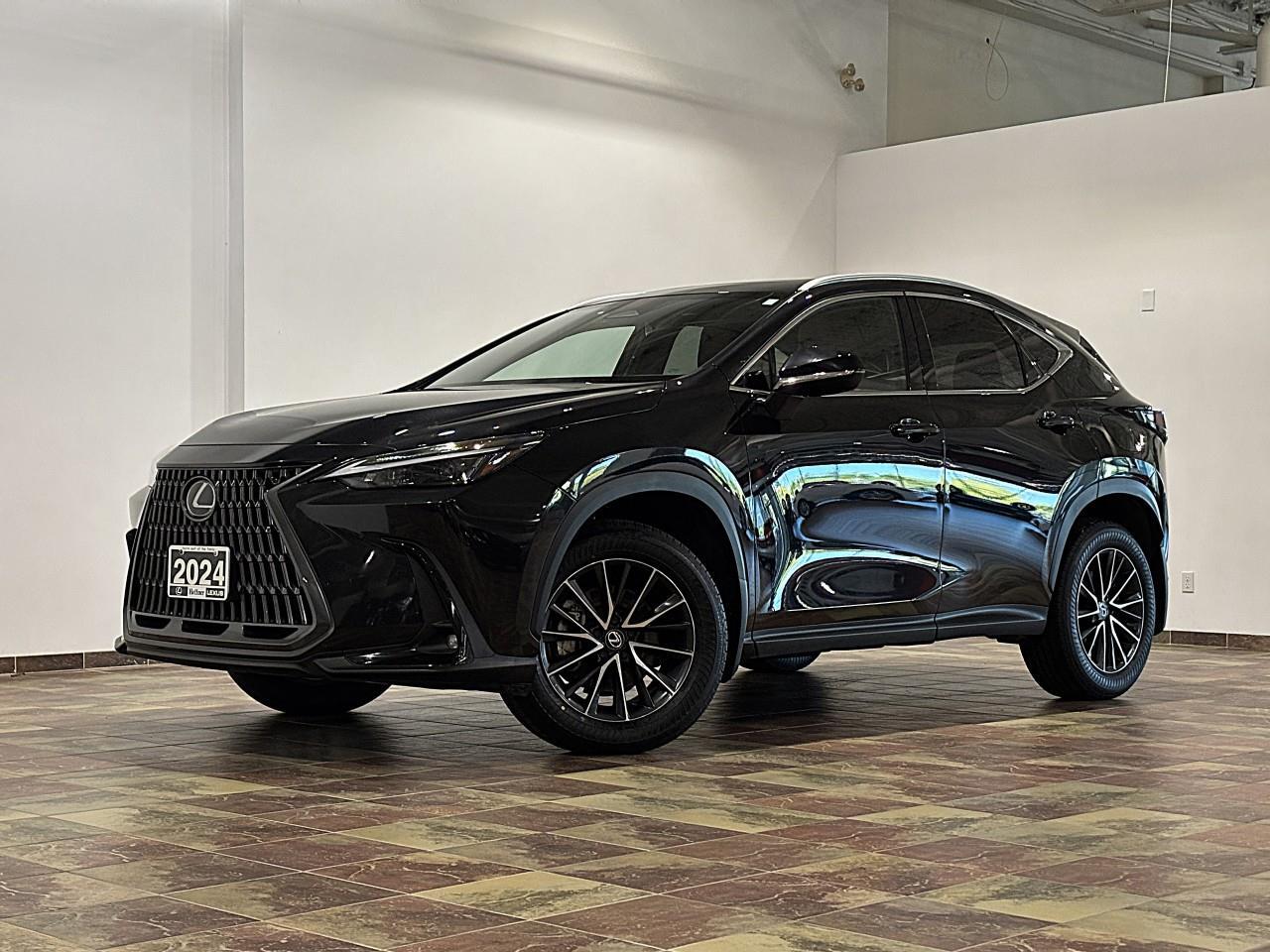 Lexus NX 2024