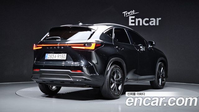 Lexus NX 2025