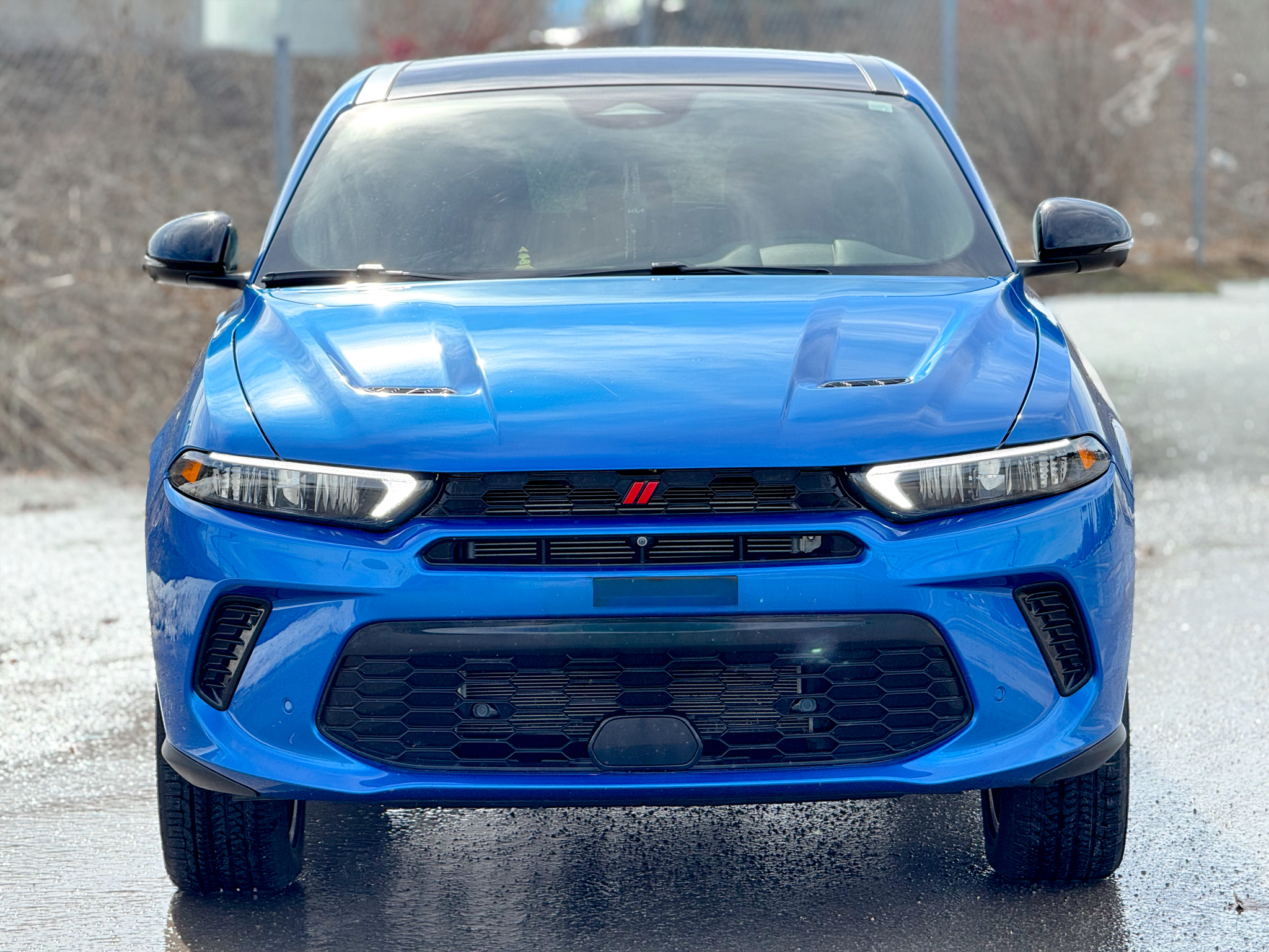 Dodge Hornet 2024