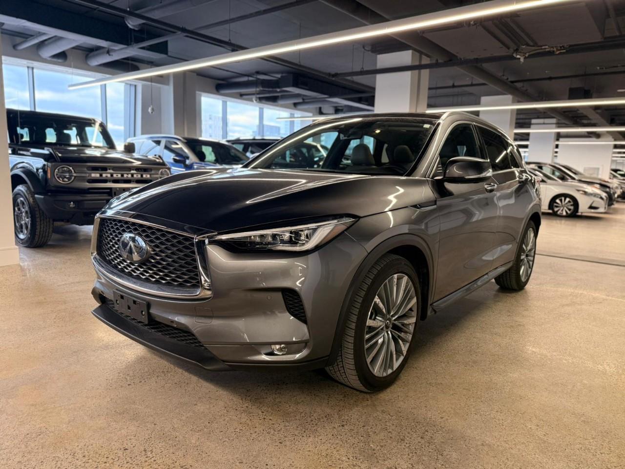 Infiniti QX50 2024