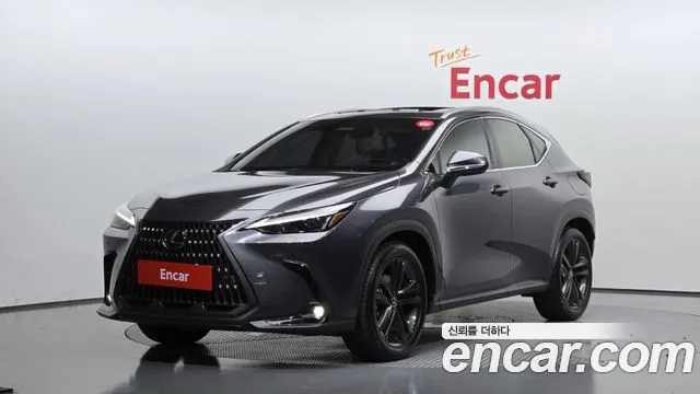 Lexus NX 2023