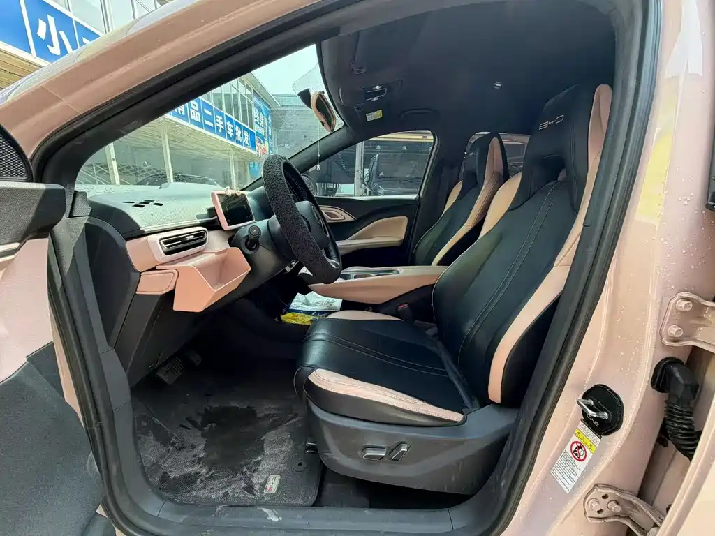 BYD Seagull 2024
