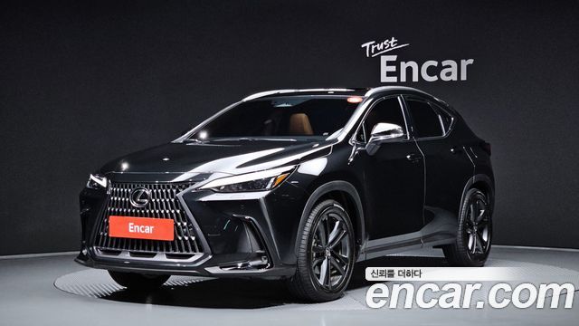 Lexus NX 2025