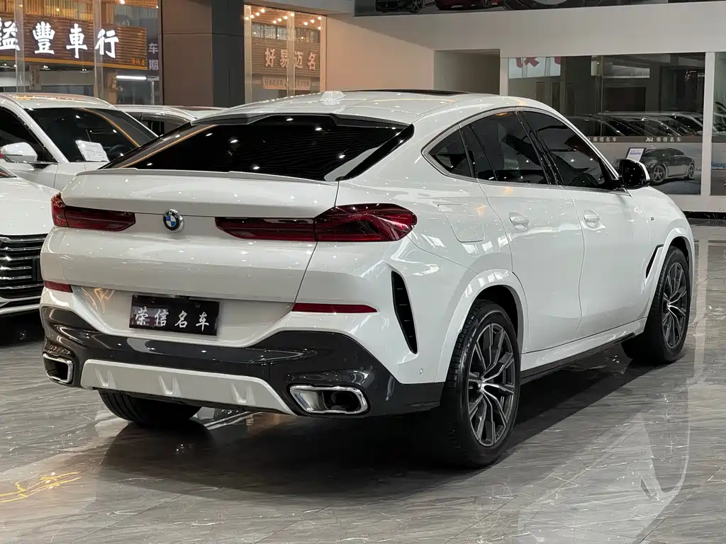 BMW X6 2024