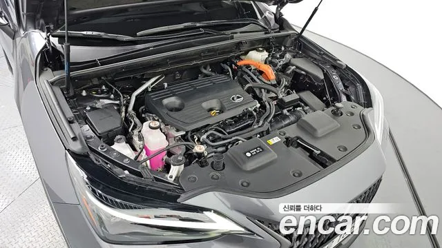 Lexus NX 2024