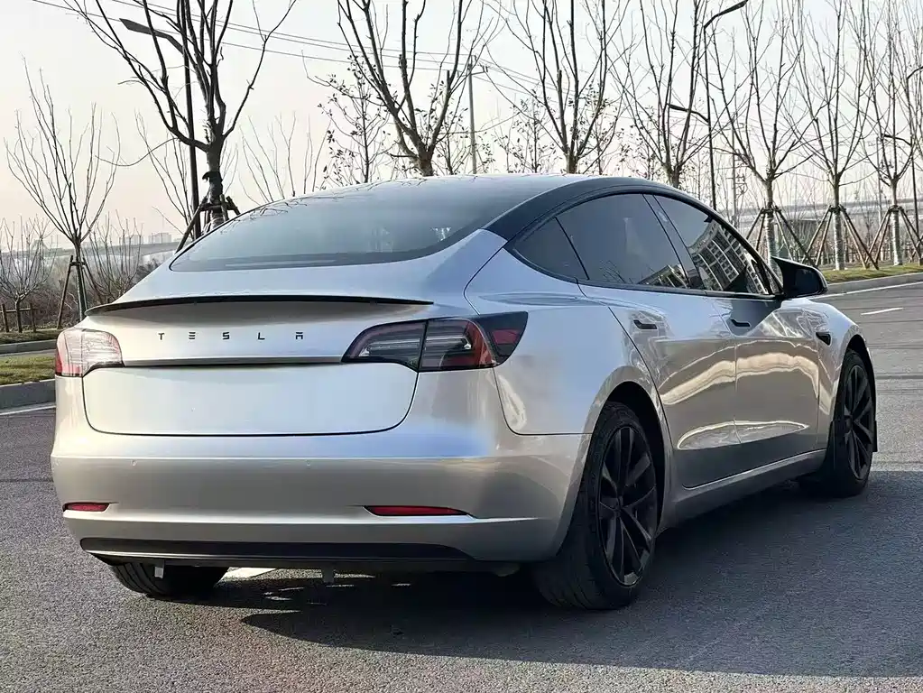 Tesla Model 3 2021