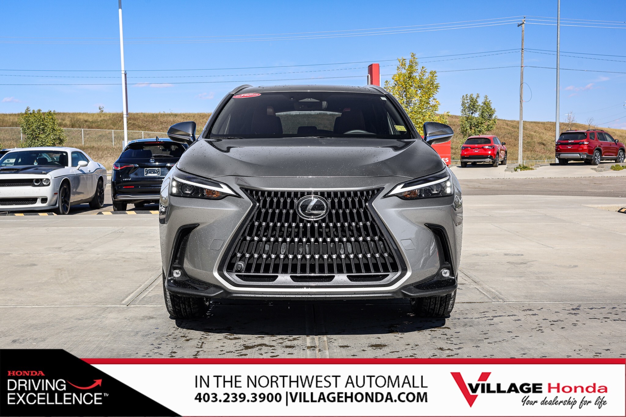 Lexus NX 2023