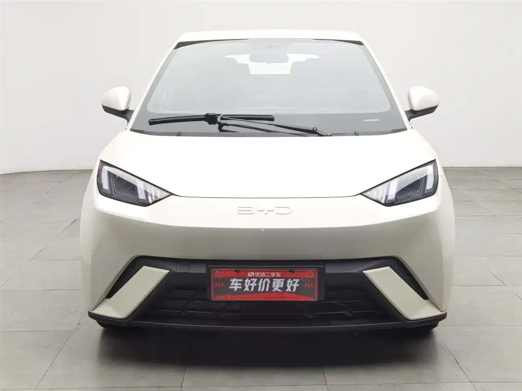 BYD Seagull 2024