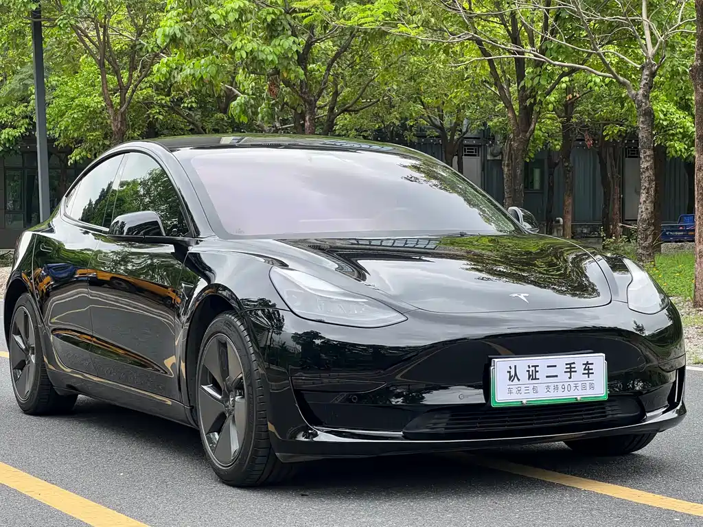 Tesla Model 3 2021